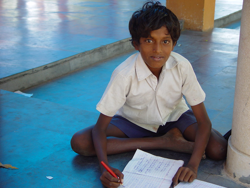 Section 8 Company (NGO)